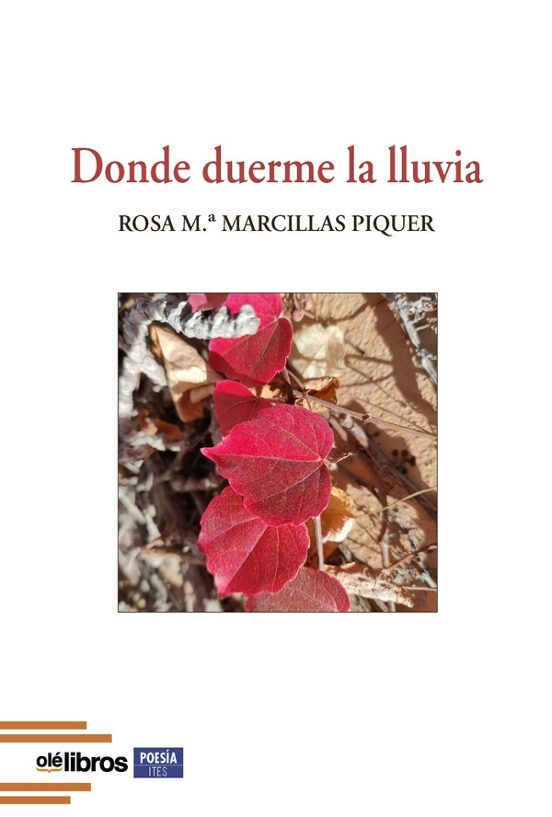 Donde Duerme La Lluvia