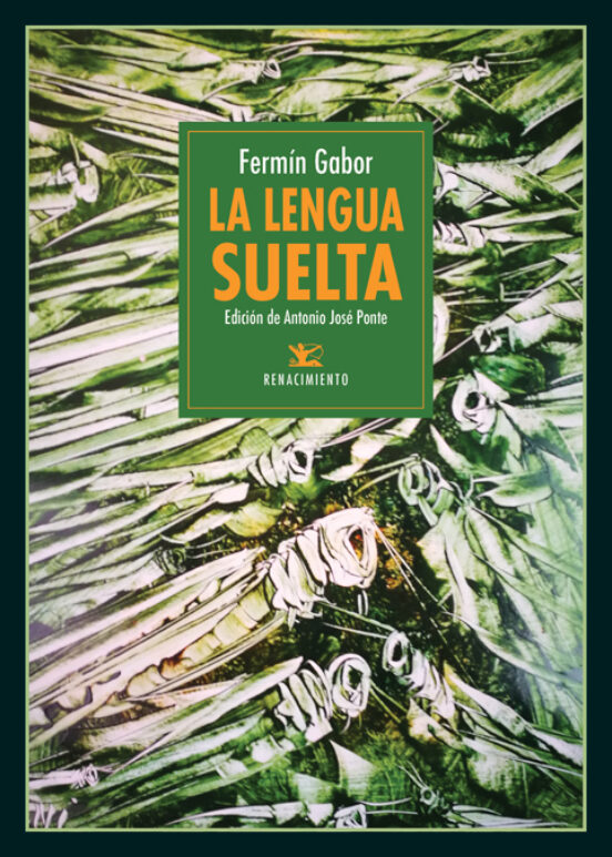 La Lengua Suelta; Seguido Del Diccionario De La Lengua Suelta