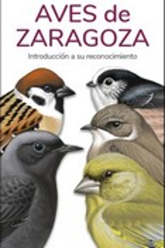 Aves De Zaragoza
