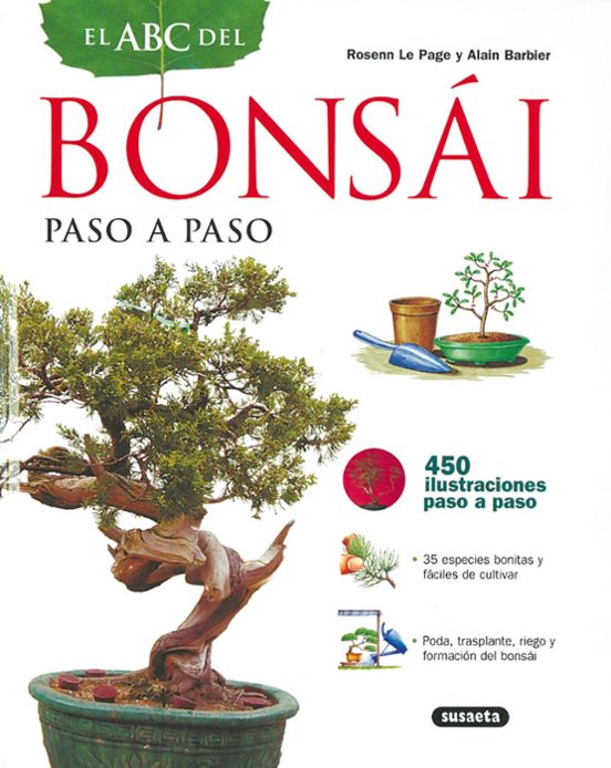 El Abc Del Bonsai Paso A Paso