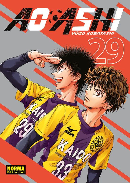Ao Ashi 29