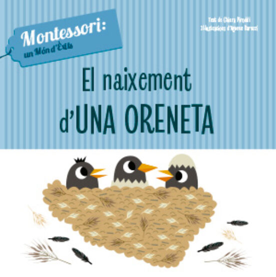 El Naixement D’una Oreneta