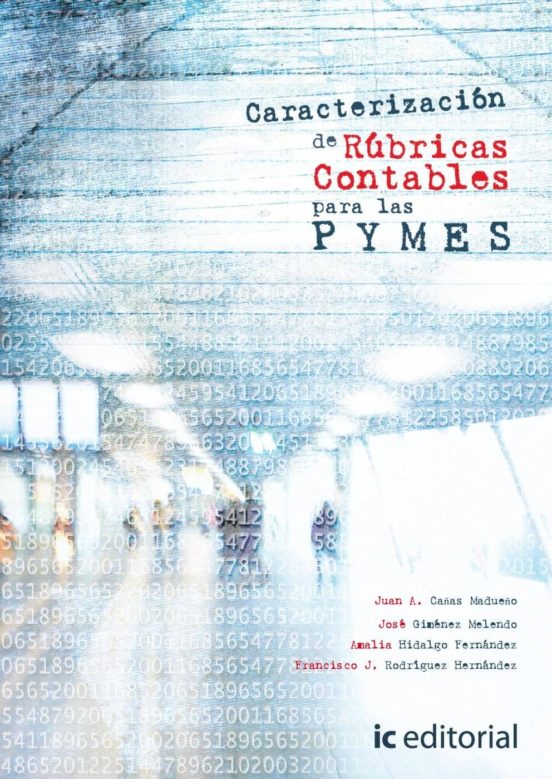 Caracterizacion De Rubricas Contables Para Las Pymes