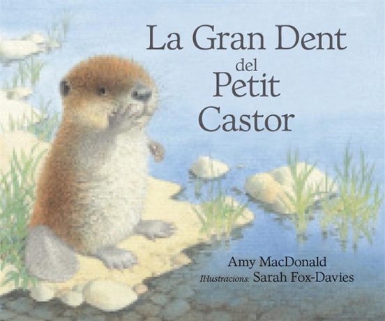 La Gran Dent Del Petit Castor
