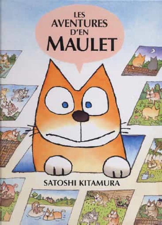 Les Aventures D'en Maulet