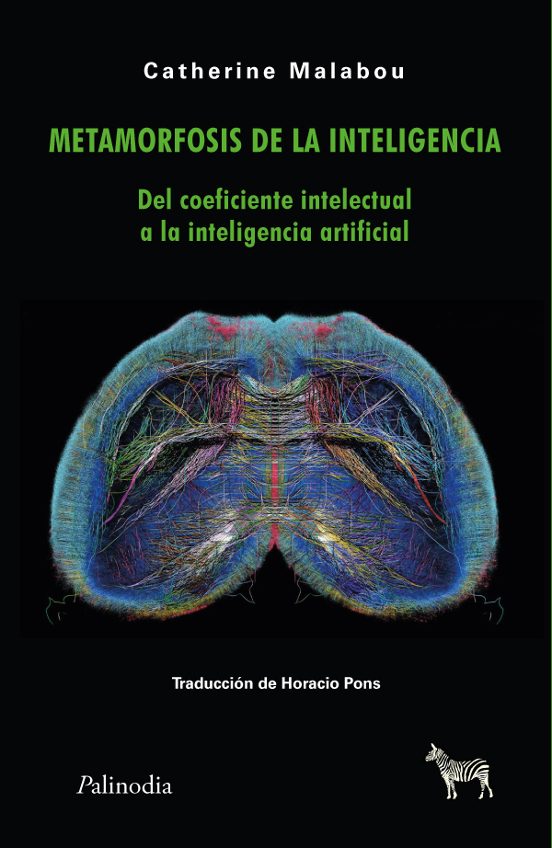 Metamorfosis De La Inteligencia