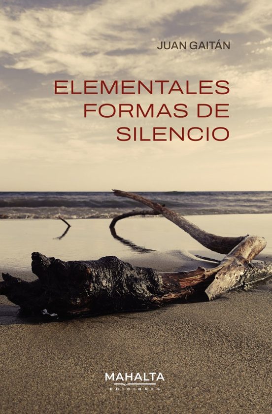 Elementales formas de silencio