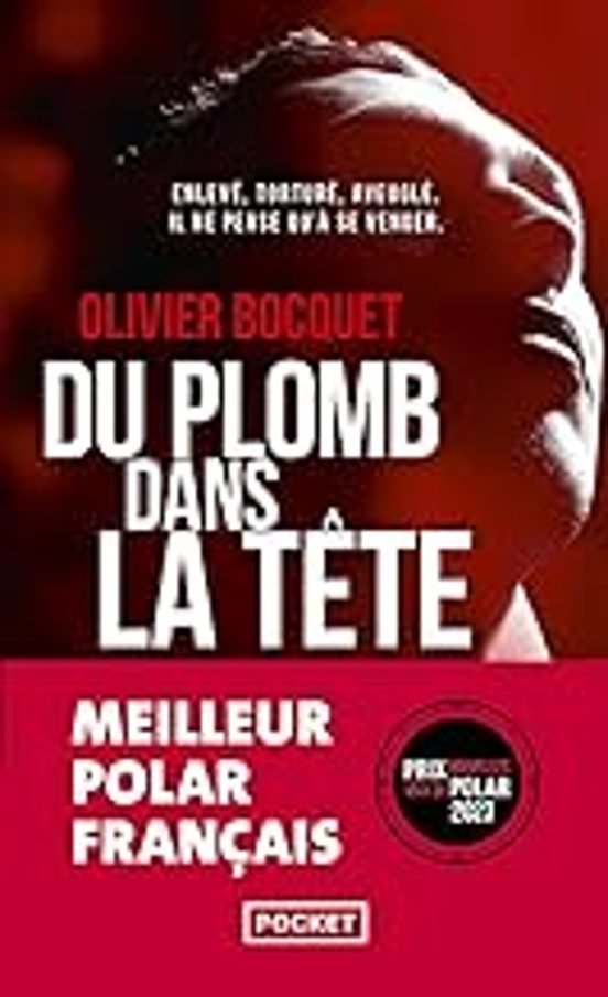 Du Plomb Dans La Tête