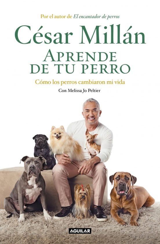 Aprende De Tu Perro: Como Los Perros Cambiaron Mi Vida