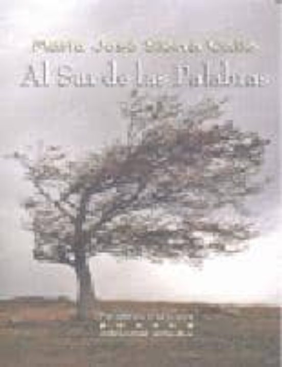 Al Sur De Las Palabras