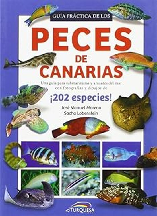Guía Práctica De Los Peces De Canarias