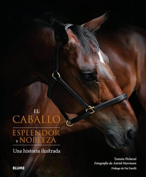 El Caballo: Esplendor Y Nobleza: Una Historia Ilustrada