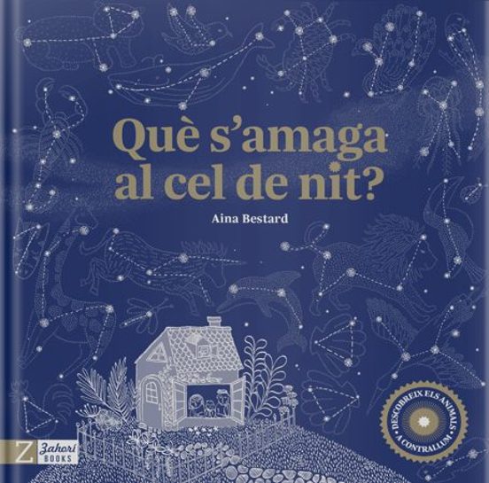 Què S'amaga Al Cel De Nit