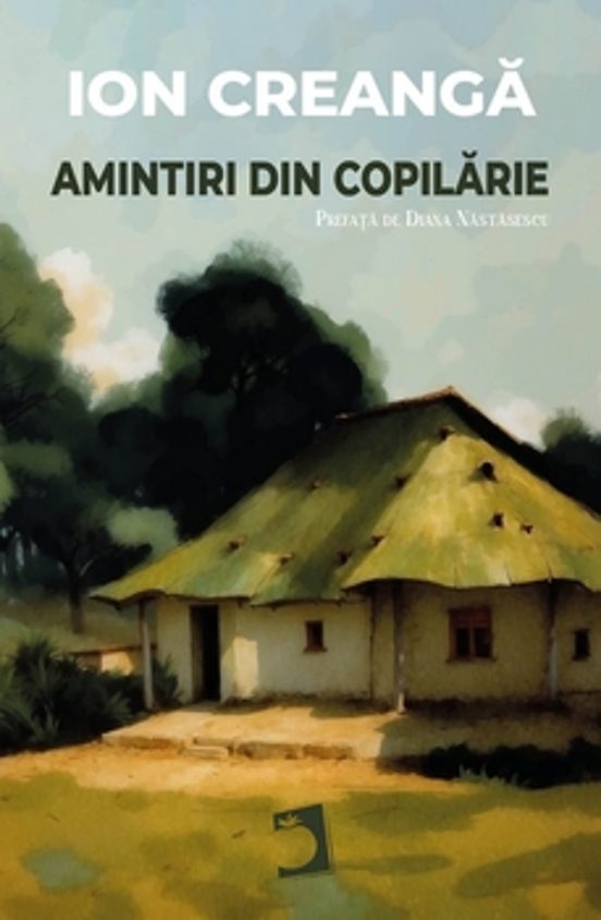 Amintiri Din Copilarie