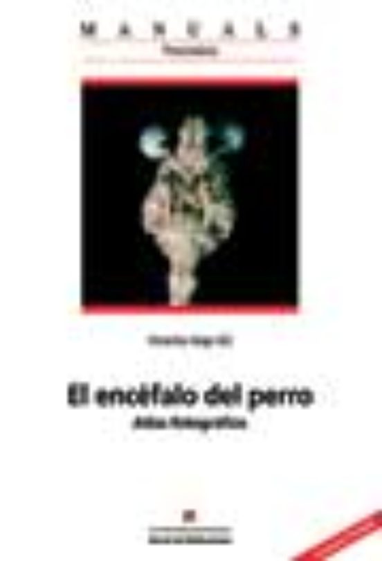 El Encefalo Del Perro