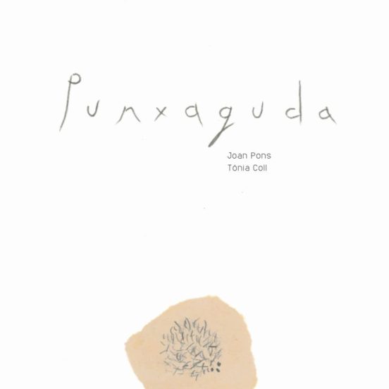 Punxaguda