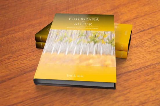 Fotografía De Autor. Análisis Y Evaluación De La Imagen