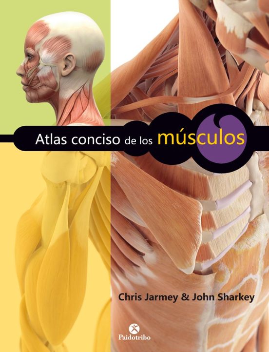 Atlas Conciso De Los Musculos