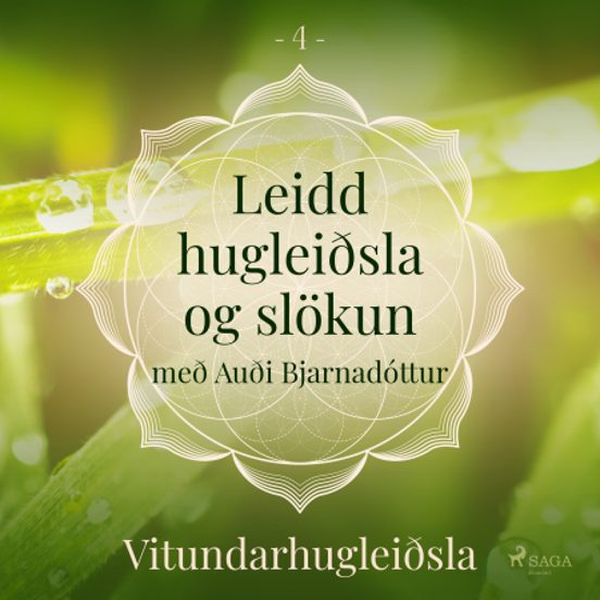 Leidd Hugleiðsla Og Slökun - Vitundarhugleiðsla