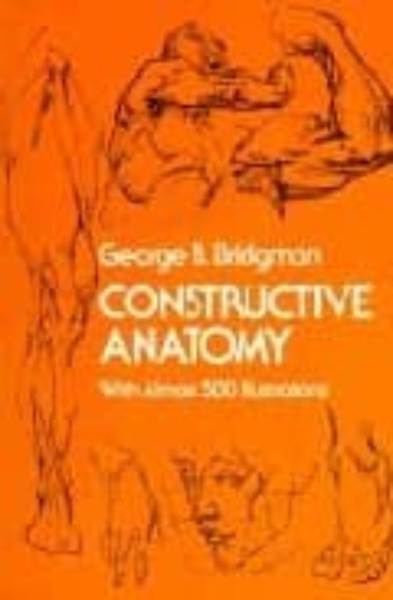 Constructive Anatomy