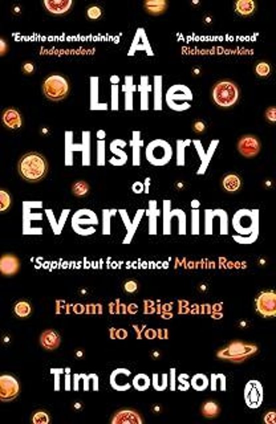 A Little History Of Everything: From The Big Bang To You