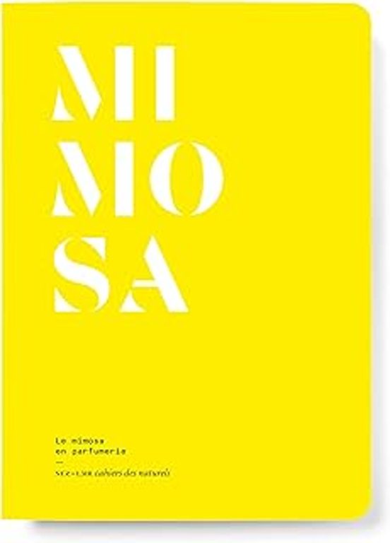 Mimosa : Le Mimosa En Parfumerie
