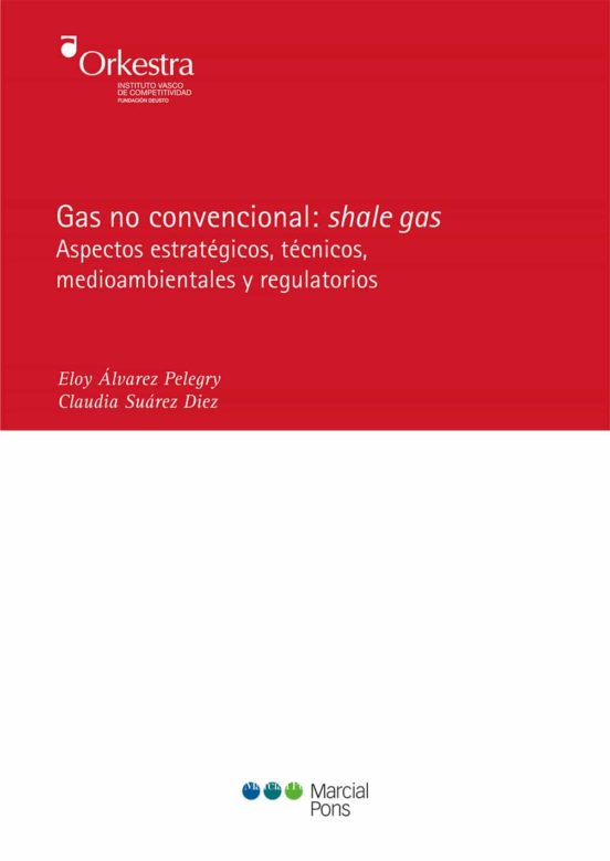 Gas No Convencional: Shale Gas