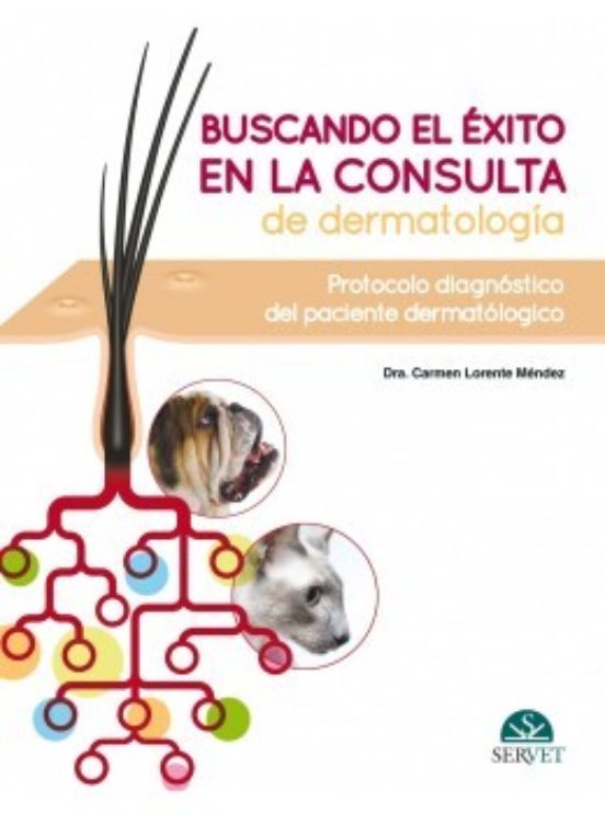 Buscando El Éxito En La Consulta De Dermatología