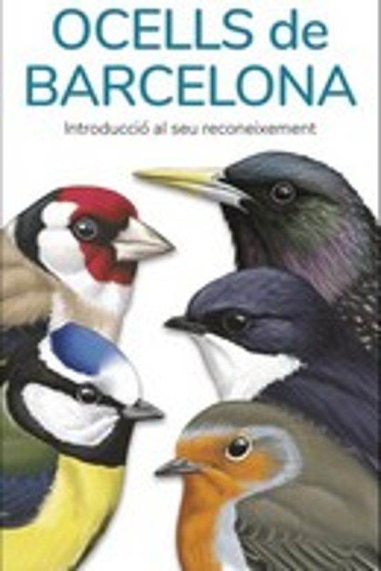 Ocells De Barcelona