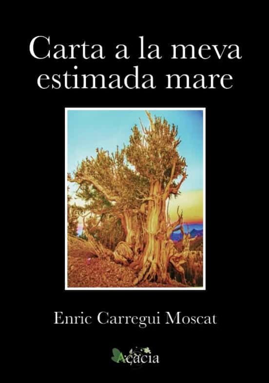 Carta A La Meva Estimada Mare