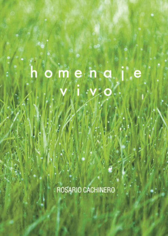 Homenaje Vivo