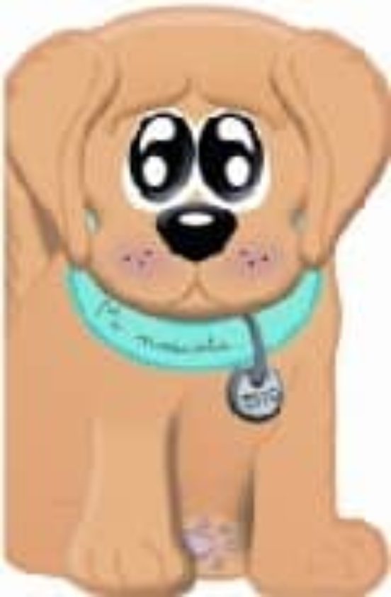 Mi Mascota Toto