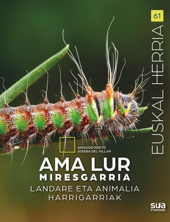 Euskal Herria 61: Ama Lur Miresgarria