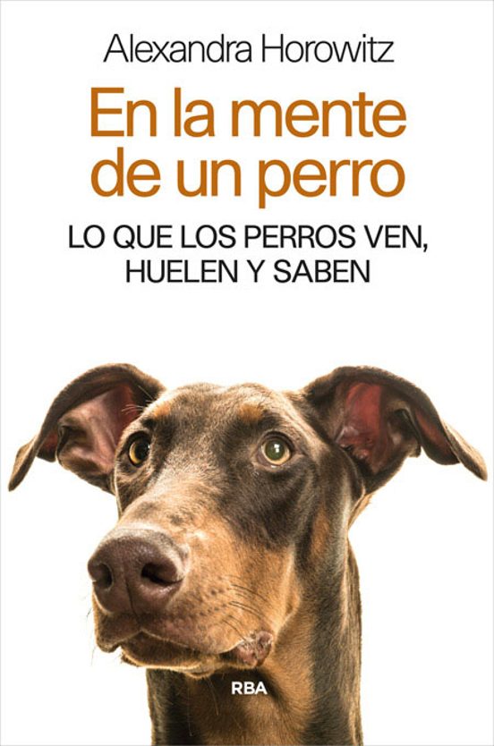 En La Mente De Un Perro: Lo Que Los Perros Ven Huelen Y Saben