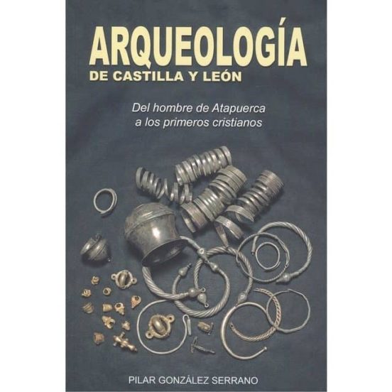 Arqueología De Castilla Y León