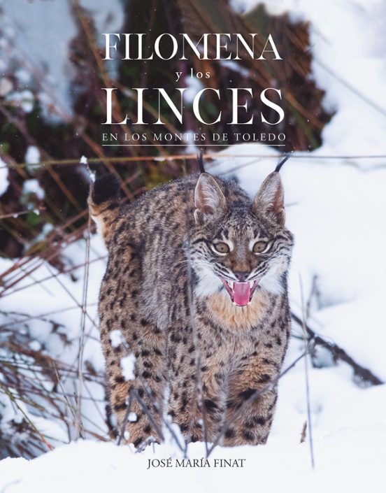 Filomena y los linces en los Montes de Toledo