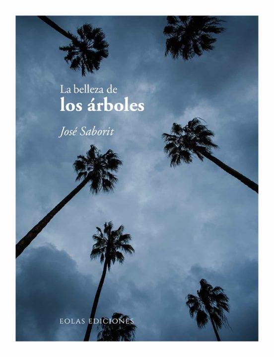 La Belleza De Los Árboles