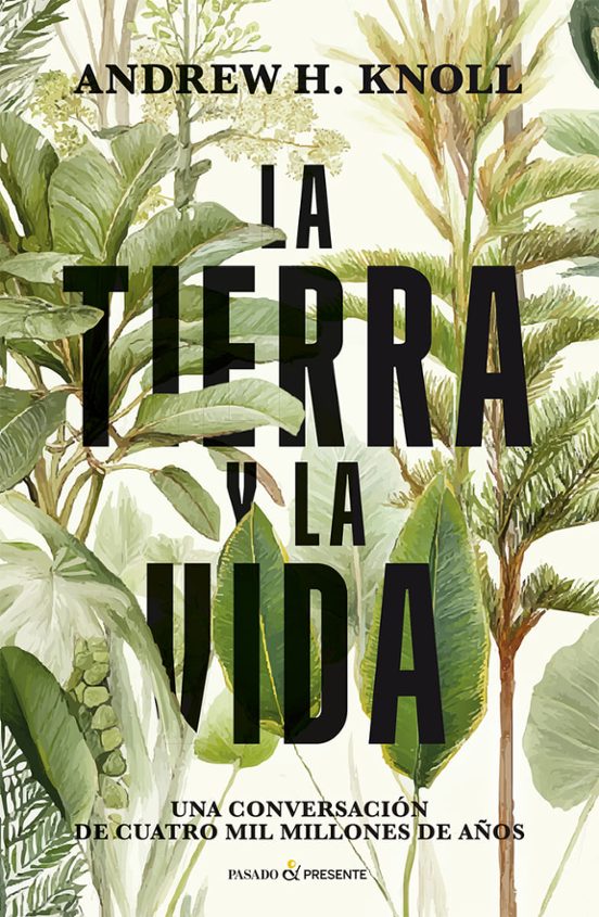 La Tierra Y La Vida
