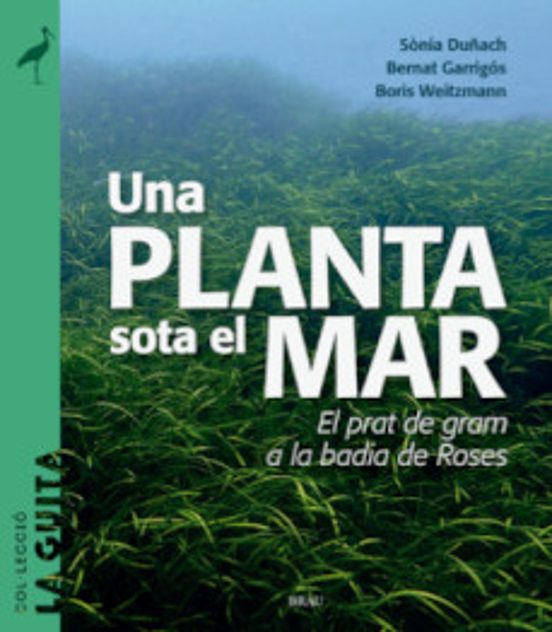 Una Planta Sota El Mar