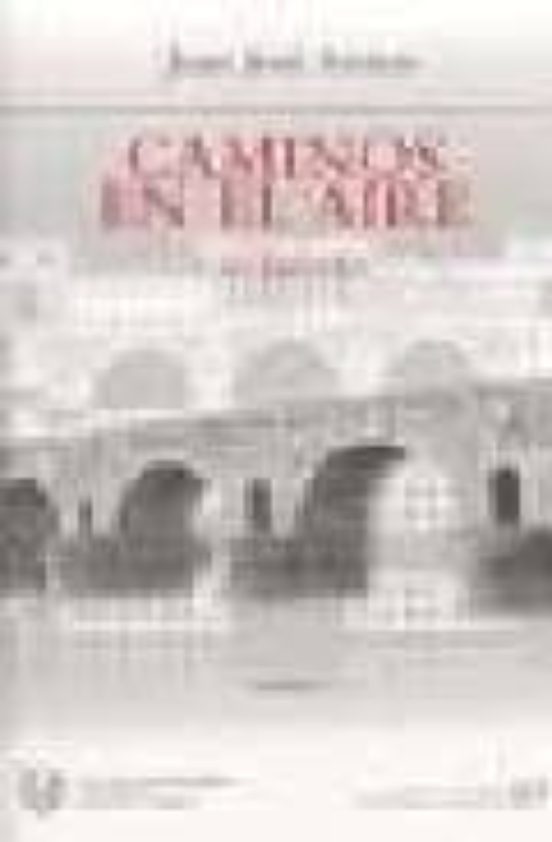 Caminos En El Aire: Los Puentes