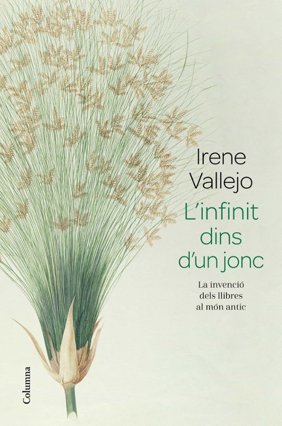L Infinit Dins D Un Jonc. La Invenció Dels Llibres Al Món Antic