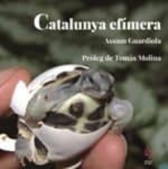 Catalunya Efímera