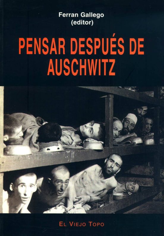 Pensar Despues De Auschwitz