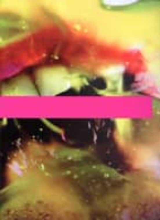 Marilyn Minter