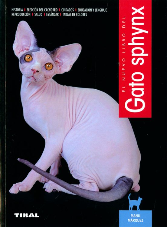 El Gato Sphynx