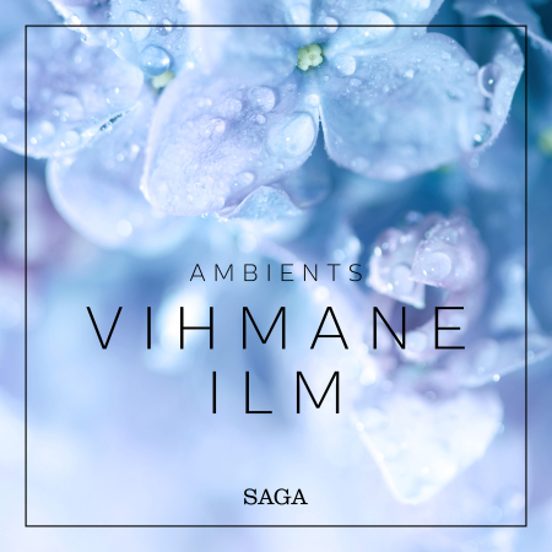 Ambients - Vihmane Ilm