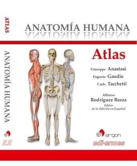 Atlas Anatomia Humana