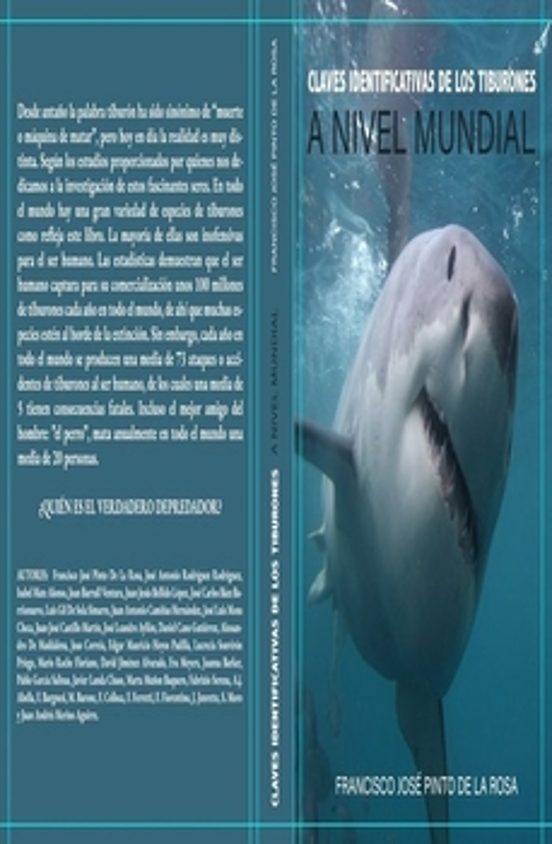 Claves Identificativas de los Tiburones a Nivel Mundial