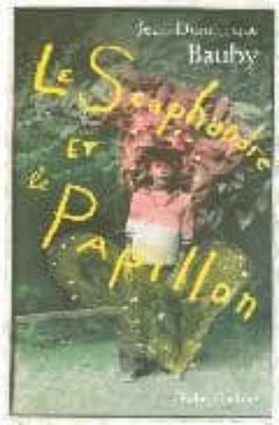 Le Scaphandre Et Le Papillon