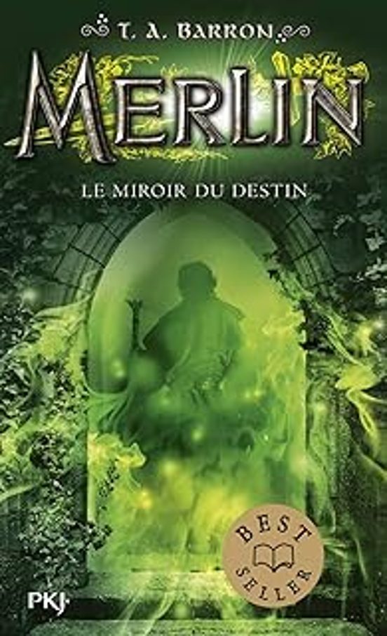 Merlin. Vol. 4. Le Miroir Du Destin